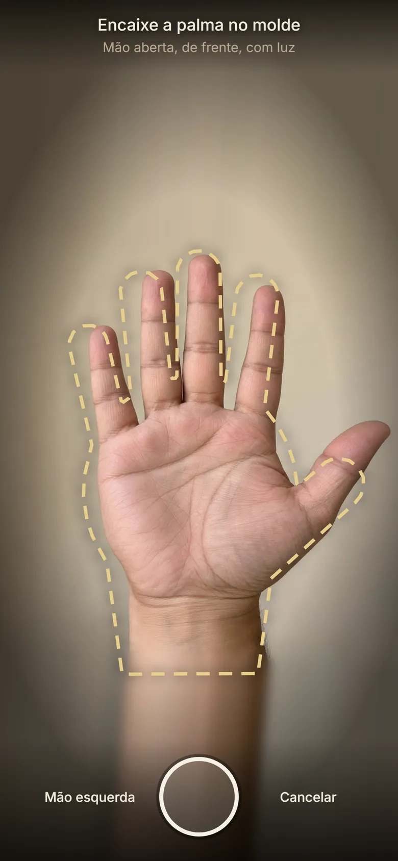 A tela da câmera com o contorno de uma mão e a palma encaixada nele